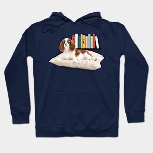 Cavalier King Charles with books on a pillow Hoodie